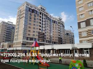 ����- �������� 77.5 ��.�. � ���������� �� �����������. - ����������� 1