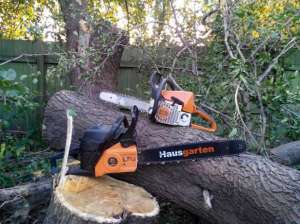 ���� �������� - ����������� 1