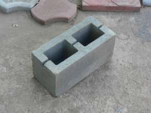 ���� �������� - ����������� 1