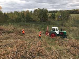 ���� �������� - ����������� 1