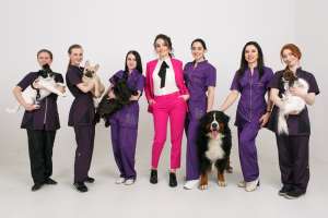 ���� �������� - ����������� 1