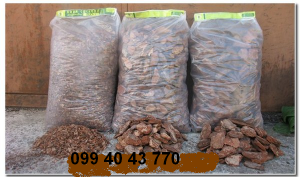 ���� �������� � ������ �� ����� � ������� - ����������� 1