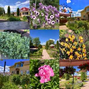 ���� �������� ��� ��� ������ - ����������� 1