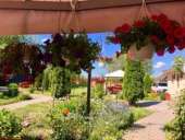 ���� �������� ��� ��� ������ - ����������� 2