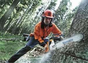 ���� �������� ��� �����, ���������� ����, ������ ��������. - ����������� 1