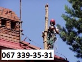 ������� � ����������: ���� �������� ���� 0673393531