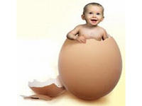 ���� �������� ����� ������� ������� - ����������� 1