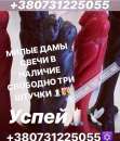 ���� �������� ������. �����, ������� � ����������� - ������