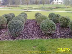 ���� �������� , ������ �� 10��� �� ����� . ���, ������� ������� , ���� - ����������� 1