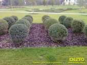 ���� �������� , ������ �� 10��� �� ����� . ���, ������� ������� , ����. ��� � ������ ��� - �������/�������