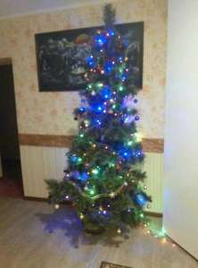 ���� �������� ������ �� 250 ���. - ����������� 1