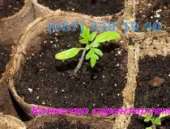 ���� �������� ������ ���� ���� � ������ �������� ���� ���� ���� ���� �������� - ����������� 2