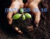 ���� �������� ������ ���� ���� � ������ �������� ���� ���� ���� ���� �������� - ����������� 3