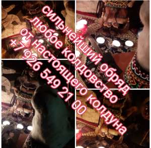 ���� �������� ��������� �������� ������ ����� ���������� - ����������� 1