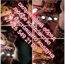 ������� � ����������: ���� �������� ��������� �������� ������ ����� ����������