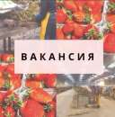 ���� �������� ���������� �� ������ � ������ �� �������� ����������� �������� ��������