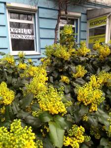 ���� ��������� � ������ - ����������� 1