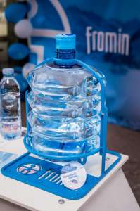 ���� ��������� � ������� �� ���������� ���� FROMIN - ����������� 1