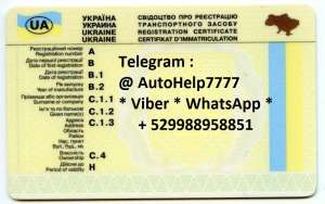 ���� ��������� ��� ������� ����� ������� - ����������� 1