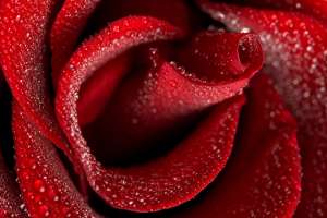 ���� ��������� ���� �������? - ����������� 1