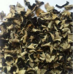 ���� ��������� ������ - ����������� 1