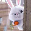 ������� � ����������: ���� ��������� ������