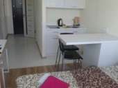 ������� � ����������: ���� ��������� ������ �������� �. ������������ ������ 2017 ����.