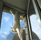 ���� ����-����� . ������. �������� ������ - ����������� 2