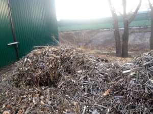 ���� ��������� ������� - ����������� 1