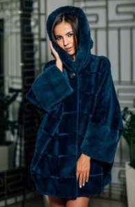 ���� ��������� - �������� ��� | ����� ���� - ������ �������� ��������� ��������� - ����������� 1