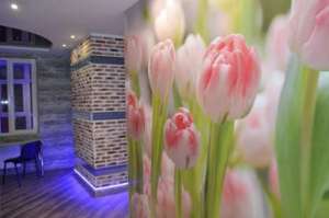 ���� ��������� �������� �������� � ���������, ������� - ����������� 1