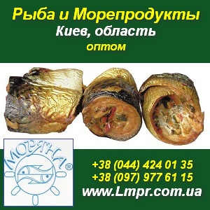 ���� ���������, �������� ��������. ������������. ���� - ����������� 1