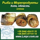 ������� � ����������: ���� ���������, �������� ��������. ������������. ����