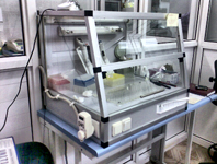 ���� ���������� - ����������� 1