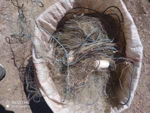 ���� ���������� - ����������� 1