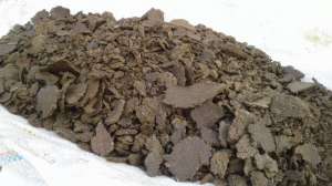 ���� ���������� ��� �������� - ����������� 1