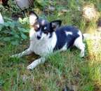 ������� � ����������: ���� ���������� ����� �������-������������ �����