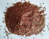 ������� � ����������: ����, ����������, ������, �o�o���, �������, ������ �� ��� , ������ ���, ����������