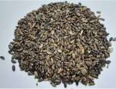 ����, ����������, ������, �o�o���, �������, ������ �� ��� , ������ ���, ���������� - ����������� 2