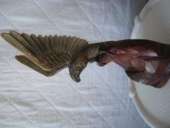 ���� ����������, ���������, �������, �������, ������ �� ������ - ����������� 2