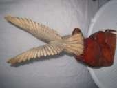 ���� ����������, ���������, �������, �������, ������ �� ������ - ����������� 3