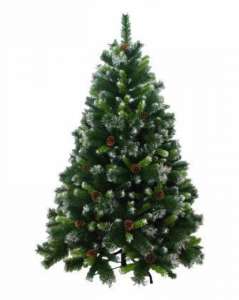 ���� ���������� �������������, ������������ ������� - ����������� 1