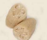 ������� � ����������: ���� ����������� 10 ��