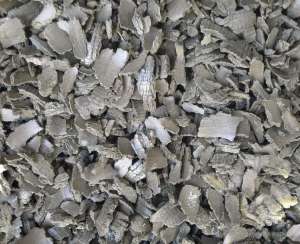 ���� ����������� - ����������� 1