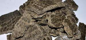 ���� ����������� - ����������� 1