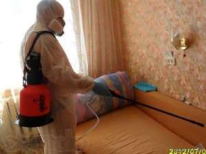 ����: ����������� - ����������� 1