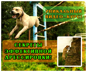 ���� ����������� ����� TreT-Style. - ����������� 1