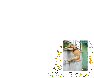 ������� � ����������: ���� ����������� ����� TreT-Style.