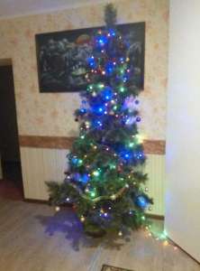 ���� ����������� ������ ������ ������ - ����������� 1