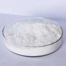 ���� ����������� �������